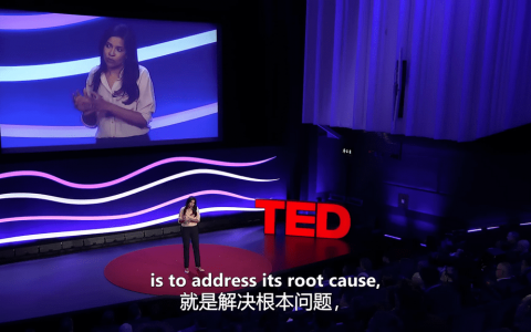 2022年度干货：TED演讲高清1080P视频2022全年打包 mp4+mp3+中英srt字幕