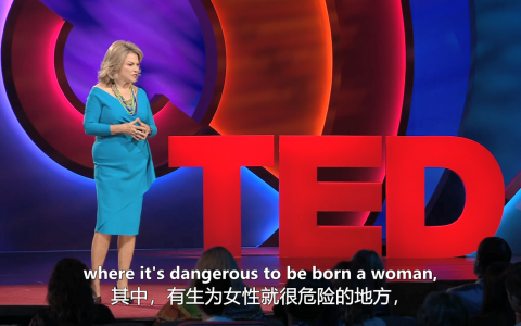 2020年度干货（七）TED演讲高清1080P视频2020全年打包 mp4+mp3 内封中英法德等超多国语言字幕