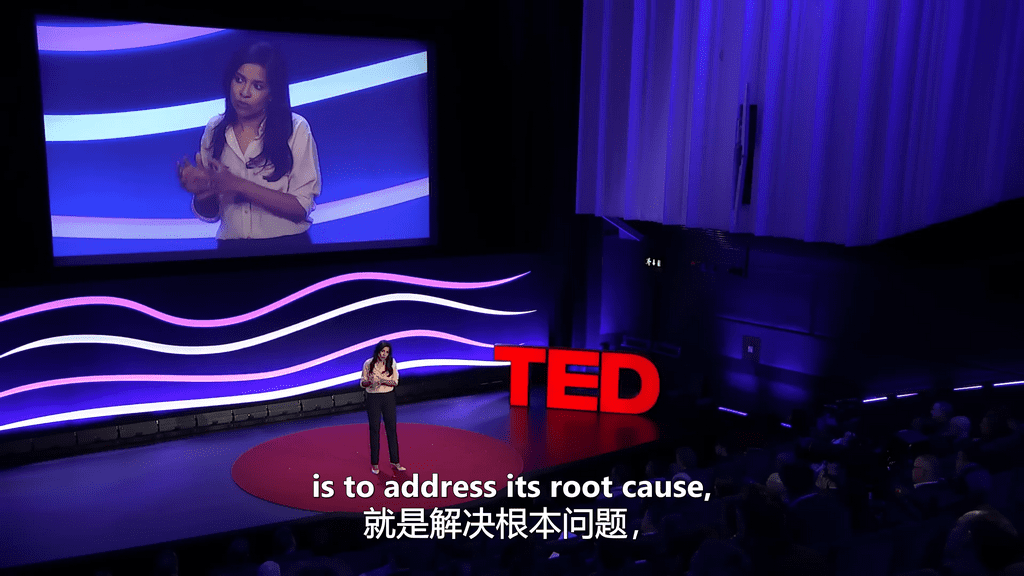 2022年度干货：TED演讲高清1080P视频2022全年打包 mp4+mp3+中英srt字幕